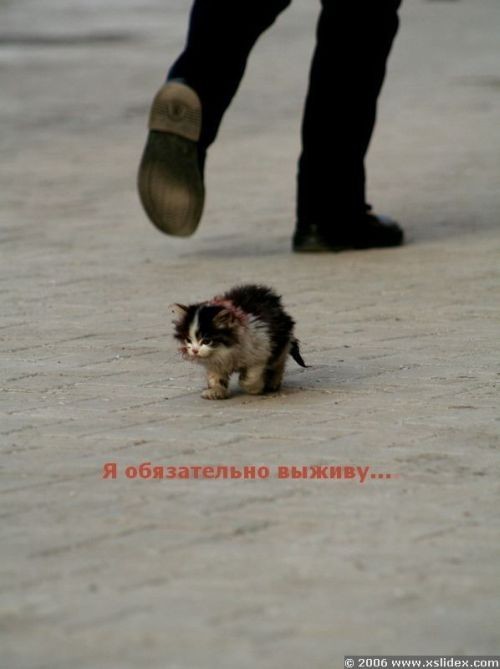 http://www.ganjafoto.ru/0/47/12/471218.jpg