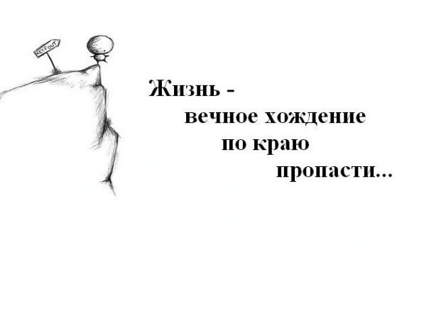 1415008.jpg