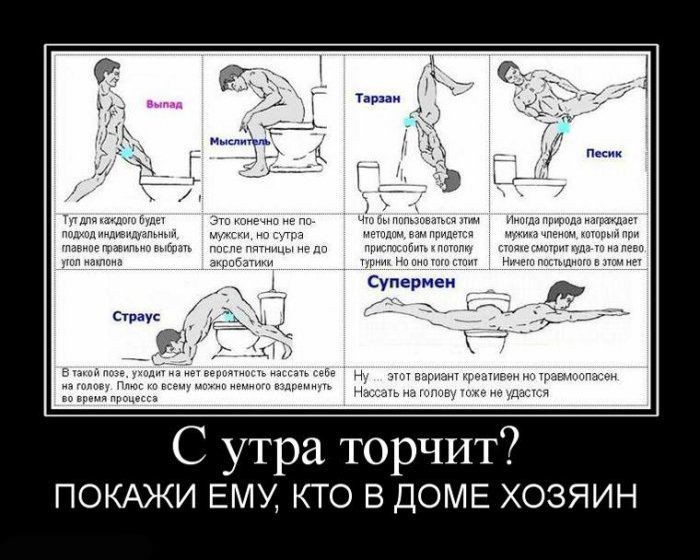 молот тора капли в уфе Молот тора капли в уфе азота является естественным