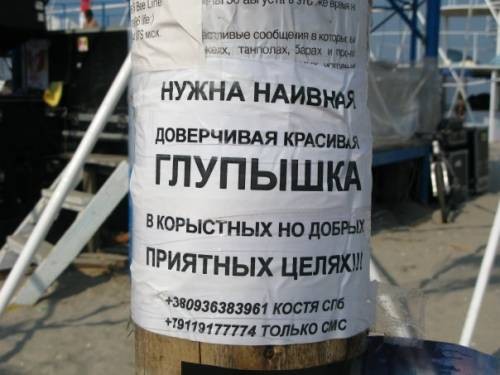 1722530.jpg