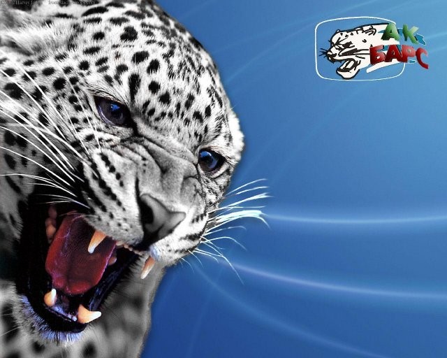 Брутальный «Ак Барс». Почему «Ак Барс» победил «Барыс»