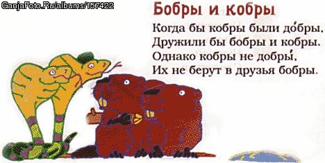81428.jpg